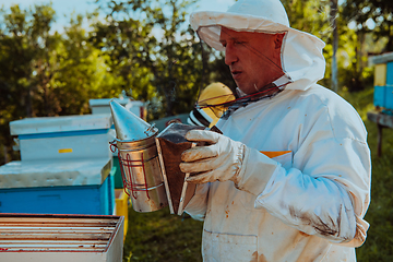 Image showing The beekeeper using smoke to calm the bees and begins to inspect the honey