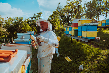 Image showing Beekeepers check the honey on the hive frame in the field. Beekeepers check honey quality and honey parasites. A beekeeper works with bees and beehives in an apiary.