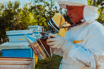 Image showing Beekeepers check the honey on the hive frame in the field. Beekeepers check honey quality and honey parasites. A beekeeper works with bees and beehives in an apiary.