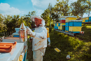 Image showing Beekeepers check the honey on the hive frame in the field. Beekeepers check honey quality and honey parasites. A beekeeper works with bees and beehives in an apiary.