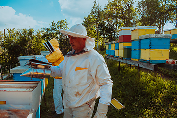 Image showing Beekeepers check the honey on the hive frame in the field. Beekeepers check honey quality and honey parasites. A beekeeper works with bees and beehives in an apiary.