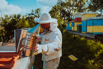 Image showing The beekeeper using smoke to calm the bees and begins to inspect the honey