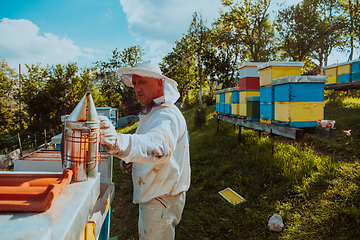 Image showing The beekeeper using smoke to calm the bees and begins to inspect the honey