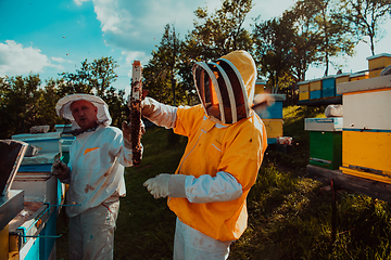 Image showing Beekeepers checking honey on the beehive frame in the field. Small business owners on apiary. Natural healthy food produceris working with bees and beehives on the apiary.