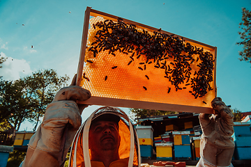 Image showing Wide shot of a beekeeper holding the beehive frame filled with honey against the sunlight in the field full of flowers