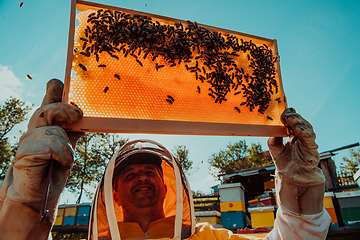 Image showing Wide shot of a beekeeper holding the beehive frame filled with honey against the sunlight in the field full of flowers