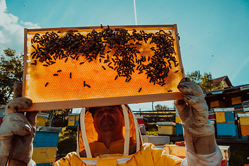 Image showing Wide shot of a beekeeper holding the beehive frame filled with honey against the sunlight in the field full of flowers