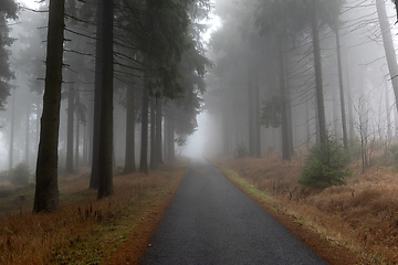 Image showing Road, forest and fog, autumn