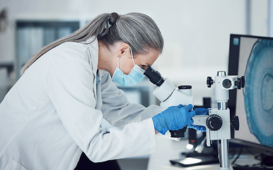 Image showing Senior woman, science and lab microscope for research and work for medical analysis. Scientist, investigation and laboratory expert with covid and healthcare report for virus monitoring and data