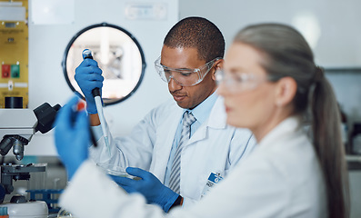 Image showing Science, laboratory and man with medical test for doctor research and study in clinic. Lab expert, petri dish and professional with innovation and investigation for chemistry work of dna scientist