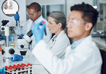 Image showing Exam, blood sample and scientist with research in a laboratory for medical analysis or innovation. Science, medicine development or researcher studying or working on test of DNA or virus in vial tube