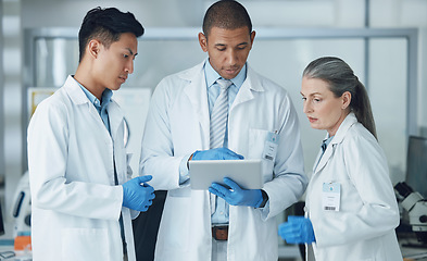 Image showing People, digital tablet and collaboration in science laboratory for medical research, medicine and teamwork training. Mature scientist, mentor or technology for healthcare and genetic engineering help