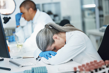 Image showing Science, sleeping woman and lab scientist with burnout, mental health anxiety or depression, medical crisis or fatigue. Laboratory, exhausted and person tired after mistake, overtime work or tension