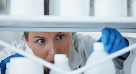 Image showing Laboratory, research and woman with bottles on a shelf, check information, medical and science. Healthcare, medicine and researcher with innovation in manufacturing of vaccine, chemical and inventory