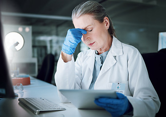 Image showing Tablet, headache and lab scientist, woman and frustrated with 404 error, software fail or science mistake. Laboratory, biotechnology fail results and person stress over problem, anxiety or migraine