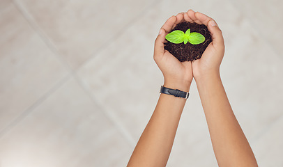 Image showing Soil, mockup and hands of person with plant for planting vegetables, harvest or ecosystem. Banner space, sustainability or farmer with dirt, earth and leaf seedling for environment or natural growth