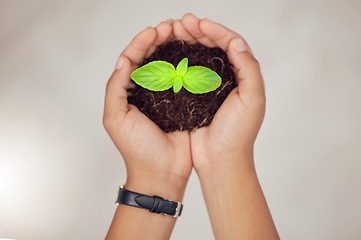 Image showing Soil, eco friendly and hands of person with plant for natural planting, agriculture harvest or ecosystem. Top view, sustainability or farmer with dirt, earth or leaf seedling for environment growth