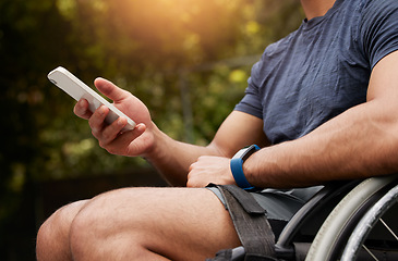 Image showing Phone, wheelchair and hands of person with disability typing internet, website or online search for support information. Nature park, cellphone connection or closeup traveler post to social media app