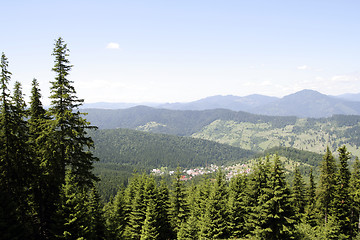 Image showing Forest landscape