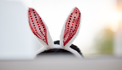 Image showing Easter bunny, ears and person at home with computer screen and silly hat for comedy. Celebration, holiday and rabbit with dress up and goofy costume accessory in a house with technology and head