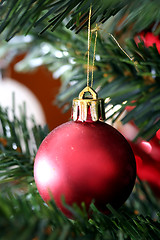 Image showing Christmas ornaments on tree.