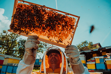 Image showing Wide shot of a beekeeper holding the beehive frame filled with honey against the sunlight in the field full of flowers