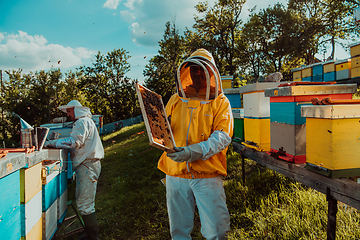 Image showing Beekeepers checking honey on the beehive frame in the field. Small business owners on apiary. Natural healthy food produceris working with bees and beehives on the apiary.