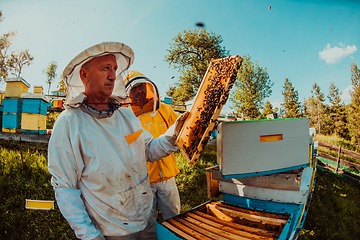 Image showing Beekeepers checking honey on the beehive frame in the field. Small business owners on apiary. Natural healthy food produceris working with bees and beehives on the apiary.