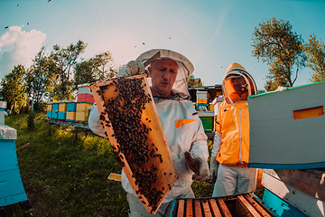 Image showing Wide shot of a beekeeper holding the beehive frame filled with honey against the sunlight in the field full of flowers