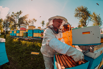 Image showing Beekeepers checking honey on the beehive frame in the field. Small business owners on apiary. Natural healthy food produceris working with bees and beehives on the apiary.