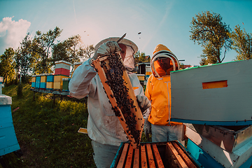 Image showing Beekeepers checking honey on the beehive frame in the field. Small business owners on apiary. Natural healthy food produceris working with bees and beehives on the apiary.