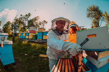 Image showing Beekeepers checking honey on the beehive frame in the field. Small business owners on apiary. Natural healthy food produceris working with bees and beehives on the apiary.