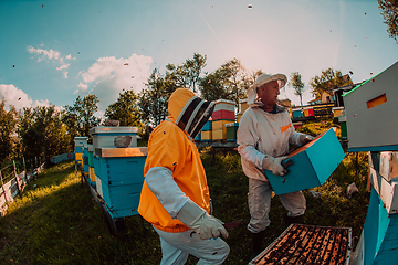 Image showing Beekeepers checking honey on the beehive frame in the field. Small business owners on apiary. Natural healthy food produceris working with bees and beehives on the apiary.