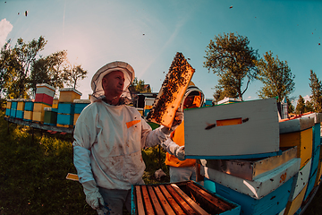 Image showing Beekeepers checking honey on the beehive frame in the field. Small business owners on apiary. Natural healthy food produceris working with bees and beehives on the apiary.