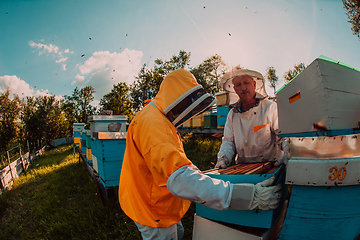 Image showing Beekeepers checking honey on the beehive frame in the field. Small business owners on apiary. Natural healthy food produceris working with bees and beehives on the apiary.