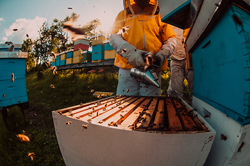 Image showing Beekeepers checking honey on the beehive frame in the field. Small business owners on apiary. Natural healthy food produceris working with bees and beehives on the apiary.