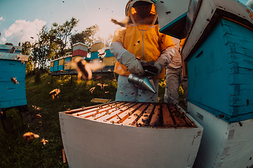 Image showing Beekeepers checking honey on the beehive frame in the field. Small business owners on apiary. Natural healthy food produceris working with bees and beehives on the apiary.