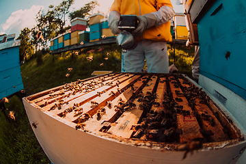 Image showing Beekeepers checking honey on the beehive frame in the field. Small business owners on apiary. Natural healthy food produceris working with bees and beehives on the apiary.