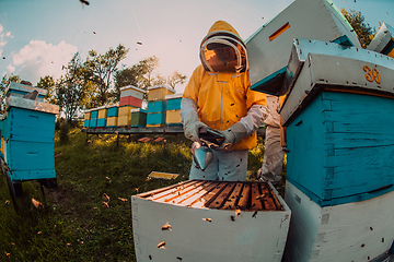 Image showing Beekeepers checking honey on the beehive frame in the field. Small business owners on apiary. Natural healthy food produceris working with bees and beehives on the apiary.