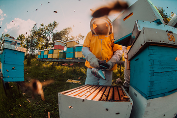 Image showing Beekeepers checking honey on the beehive frame in the field. Small business owners on apiary. Natural healthy food produceris working with bees and beehives on the apiary.