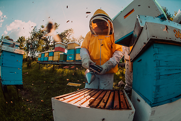 Image showing Beekeepers checking honey on the beehive frame in the field. Small business owners on apiary. Natural healthy food produceris working with bees and beehives on the apiary.