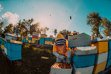 Image showing Beekeepers checking honey on the beehive frame in the field. Small business owners on apiary. Natural healthy food produceris working with bees and beehives on the apiary.