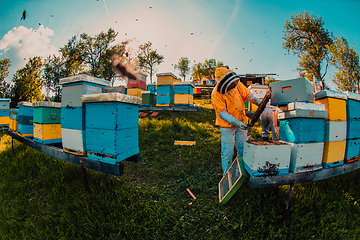 Image showing Beekeepers checking honey on the beehive frame in the field. Small business owners on apiary. Natural healthy food produceris working with bees and beehives on the apiary.