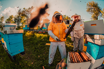 Image showing Beekeepers checking honey on the beehive frame in the field. Small business owners on apiary. Natural healthy food produceris working with bees and beehives on the apiary.