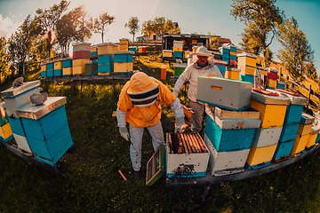 Image showing Beekeepers checking honey on the beehive frame in the field. Small business owners on apiary. Natural healthy food produceris working with bees and beehives on the apiary.