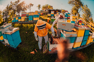 Image showing Beekeepers checking honey on the beehive frame in the field. Small business owners on apiary. Natural healthy food produceris working with bees and beehives on the apiary.