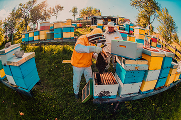 Image showing Beekeepers checking honey on the beehive frame in the field. Small business owners on apiary. Natural healthy food produceris working with bees and beehives on the apiary.