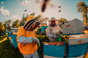 Image showing Beekeepers checking honey on the beehive frame in the field. Small business owners on apiary. Natural healthy food produceris working with bees and beehives on the apiary.