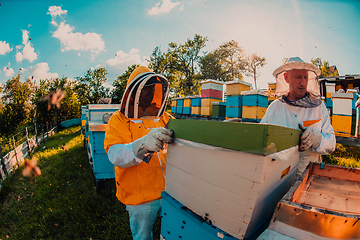 Image showing Beekeepers checking honey on the beehive frame in the field. Small business owners on apiary. Natural healthy food produceris working with bees and beehives on the apiary.