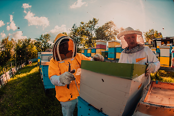 Image showing Beekeepers checking honey on the beehive frame in the field. Small business owners on apiary. Natural healthy food produceris working with bees and beehives on the apiary.